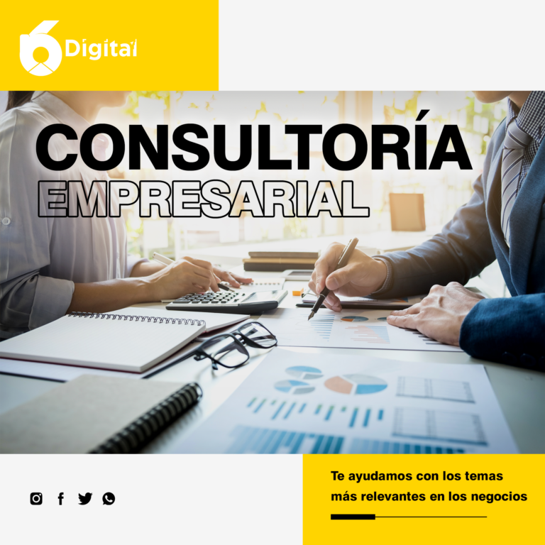 Consultoría Empresarial 6N Digital
