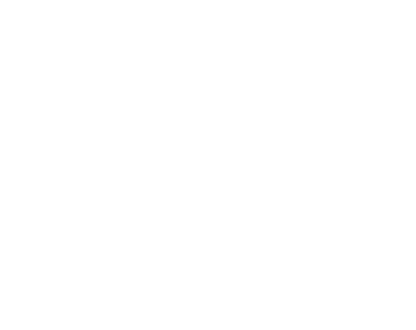 Dragón 9 Logotipo white WEB