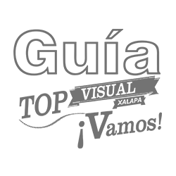 Logo Guía Top Visual