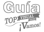 Logo Guía Top Visual
