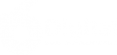 Logotipo 6N Digital white WEB 2020